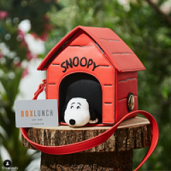BoxLunch Snoopy Giveaway prize ilustration