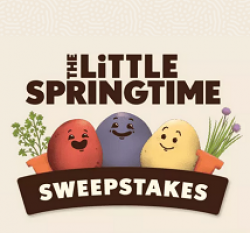 The Little Springtime Sweepstakes prize ilustration