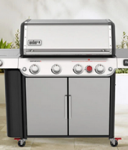 Tyler Florence Grilling Go To Sweeps prize ilustration