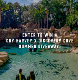 Guy Harvey Discovery Cove Sweepstakes prize ilustration