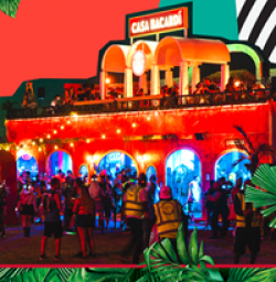 Bacari Lollapalooza Trip Sweepstakes prize ilustration