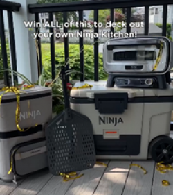 Ninja Kitchen Sweepstakes prize ilustration