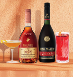 Remy Martin Summer Sweepstakes prize ilustration