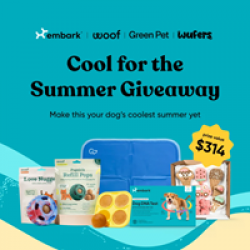 Cool for the Summer Giveaway prize ilustration