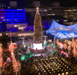 Hallmark Channel Christmas in July prize ilustration