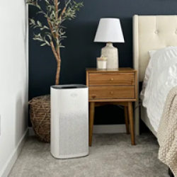 True HEPA Air Purifier Giveaway prize ilustration