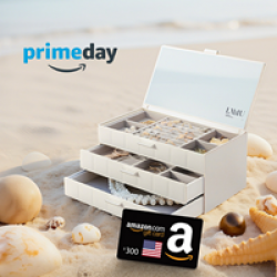 Lamu Prime Day Sweepstakes prize ilustration