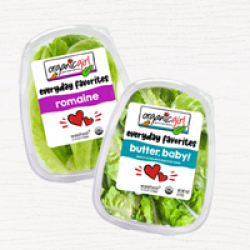 Organicgirl July 2025 Sweepstakes prize ilustration