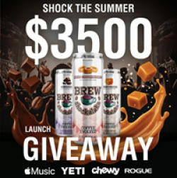 Shock the Summer Giveaway prize ilustration
