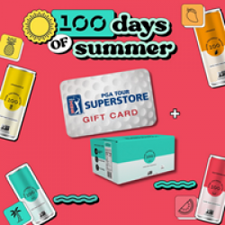 100 Coconuts 100 Days of Summer Giveaway prize ilustration