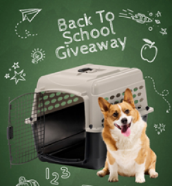Petmate Back to School Giveaway prize ilustration