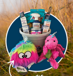 Wilco Dog Goodie Bucket Giveaway prize ilustration