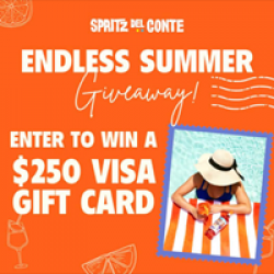 Endless Summer Giveaway prize ilustration