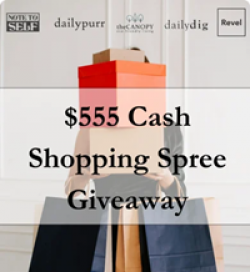 $555 Cash Shopping Spree Giveaway prize ilustration