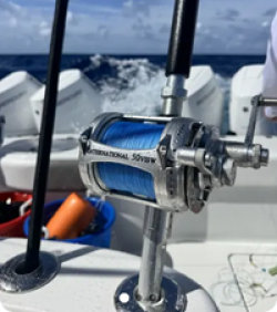 Reel Chance Penn International 50W Giveaway prize ilustration