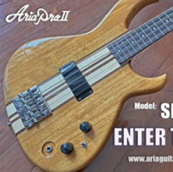 Aria Pro II SB-700 Guitar Giveaway prize ilustration
