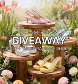 Dream Pairs Giveaway prize ilustration
