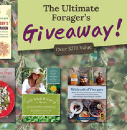 Ultimate Foragers Giveaway prize ilustration