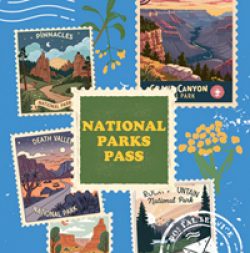National Park Pass Giveaway prize ilustration