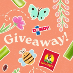SunMaid x Dandy Giveaway prize ilustration