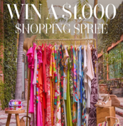 VICI Escape to Paradise Sweepstakes prize ilustration