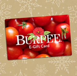 Burpee Mothers Day Garden Giveaway prize ilustration