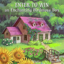 Birdmoss Box Giveaway prize ilustration