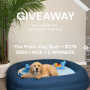 Settle Pet Orthopedic Dog Bed ...