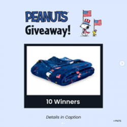 Berkshire Home x Peanuts Sweepstakes prize ilustration