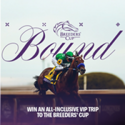 Breeders Cup Bound Sweepstakes prize ilustration