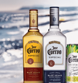 Cuervo Margarita Season Sweepstakes prize ilustration