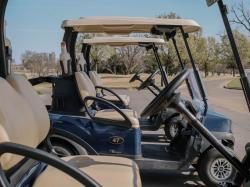 Tree Top Father’s Day Golf Cart Sweepstakes prize ilustration