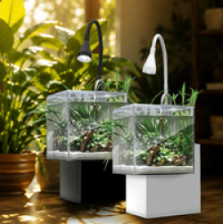 Fluval Kühl Microscaping Kit Giveaway prize ilustration