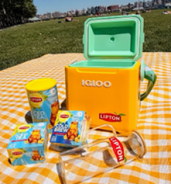 Lipton Summer Giveaway prize ilustration